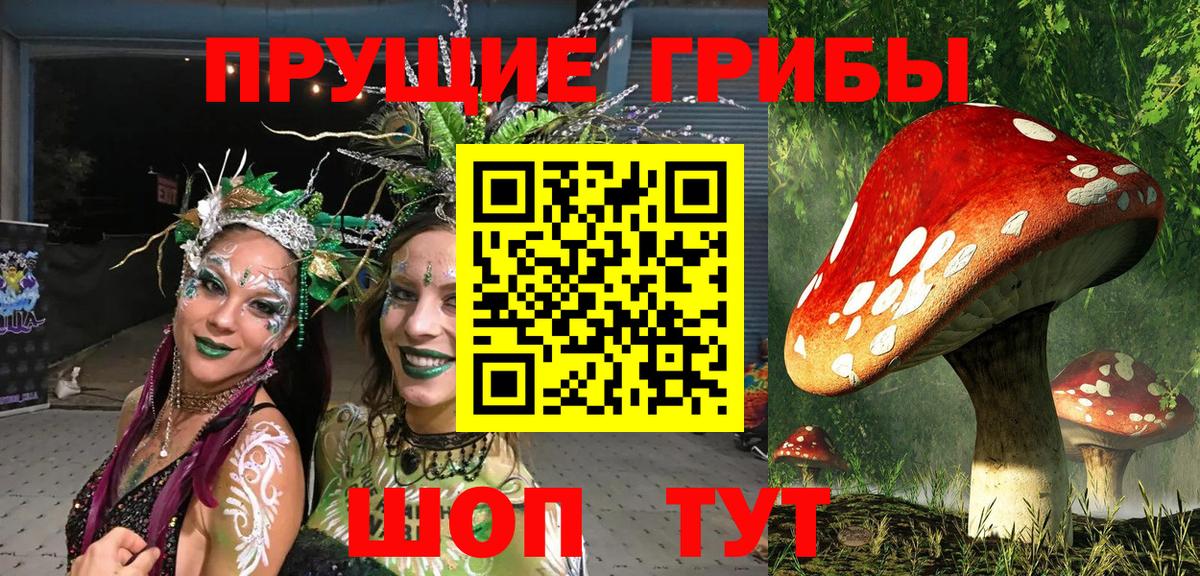 Галлюциногенные грибы Cubensis Казань