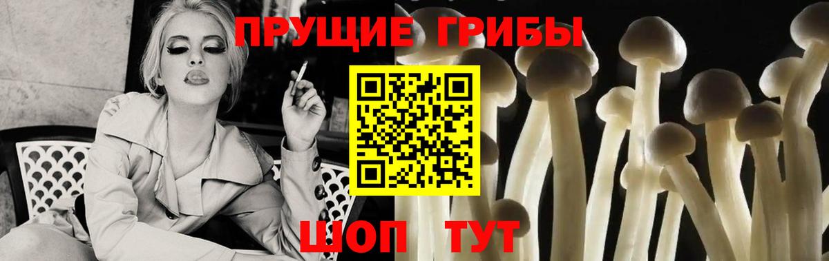 Казань  купить наркотики цена  Вход с VPN  Псилоцибиновые грибы Cubensis 